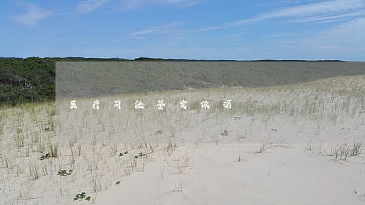 医疗司法鉴定依据