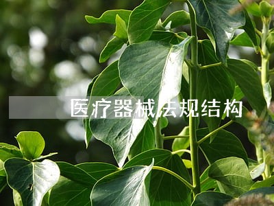 医疗器械法规结构 医疗器械法规结构