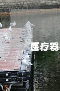医疗器械监督管理法规文件 医疗器械监督管理法规文件