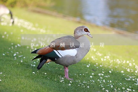 医疗器械认证法规 医疗器械认证法规