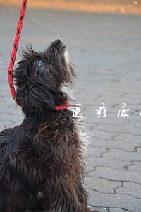 医疗废品回收违法吗 医疗废品回收违法吗