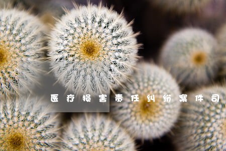 医疗损害责任纠纷案件司法解释 医疗损害责任纠纷案件司法解释