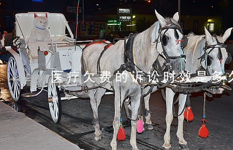 医疗欠费的诉讼时效是多久的 医疗欠费的诉讼时效是多久的