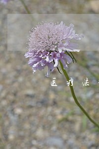 医疗法律关系中最基础的是 医疗法律关系中最基础的是