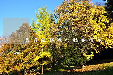 医疗法律顾问服务清单 医疗法律顾问服务清单