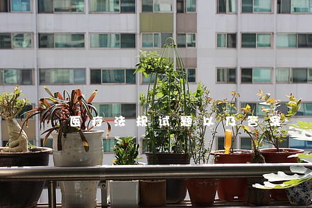 医疗法规试题以及答案 医疗法规试题以及答案