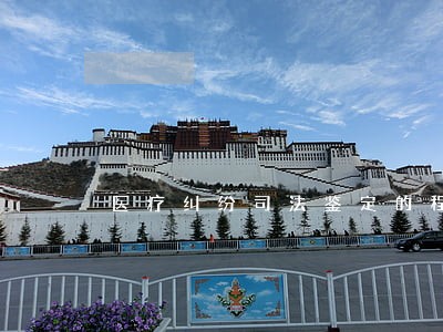 医疗纠纷司法鉴定的程序是怎样的