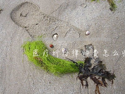 医疗纠纷律师费怎么收取 医疗纠纷律师费怎么收取