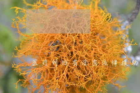 医疗纠纷有没有法律援助 医疗纠纷有没有法律援助