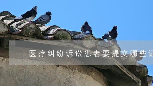 医疗纠纷诉讼患者要提交哪些证据 医疗纠纷诉讼患者要提交哪些证据
