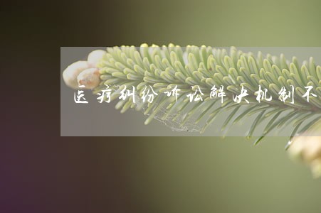 医疗纠纷诉讼解决机制不包括
