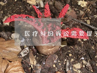 医疗纠纷诉讼需要提交哪些证据 医疗纠纷诉讼需要提交哪些证据