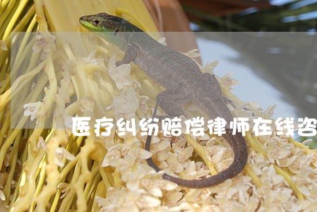 医疗纠纷赔偿律师在线咨询 医疗纠纷赔偿律师在线咨询