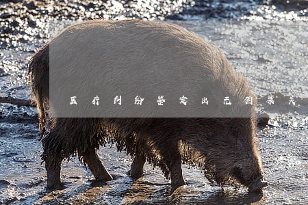 医疗纠纷鉴定出无因果关系 医疗纠纷鉴定出无因果关系