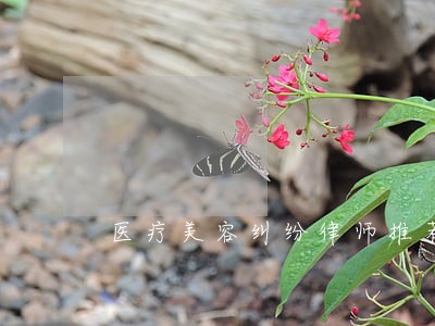 医疗美容纠纷律师推荐 医疗美容纠纷律师推荐