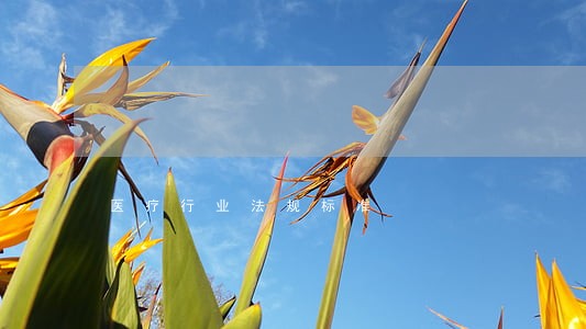 医疗行业法规标准