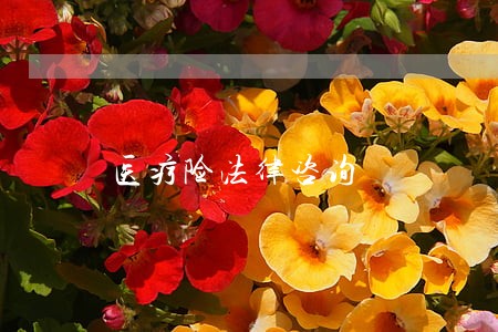 医疗险法律咨询 医疗险法律咨询