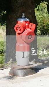 医社保有信用逾期可以办吗 医社保有信用逾期可以办吗