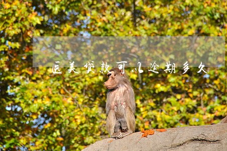 医美贷款可以逾期多久 医美贷款可以逾期多久