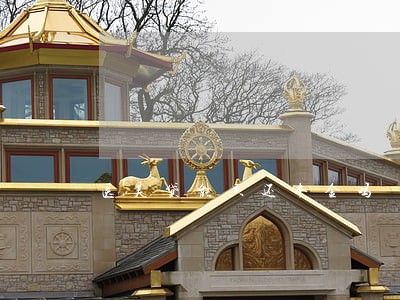 医美贷能只还本金吗 医美贷能只还本金吗