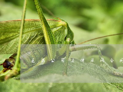 医药公司法律顾问合同