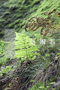 医闹怎么闹不违法