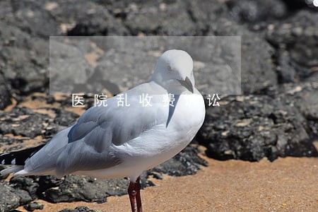 医院乱收费诉讼