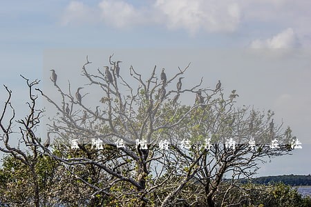 医院住院的结算清单在法律上 医院住院的结算清单在法律上