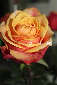 医院做司法鉴定的步骤 医院做司法鉴定的步骤