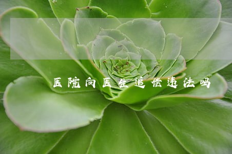 医院向医生追偿违法吗 医院向医生追偿违法吗
