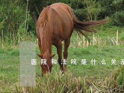 医院和法院是什么关系 医院和法院是什么关系