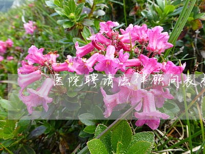 医院聘请法律顾问表态发言 医院聘请法律顾问表态发言