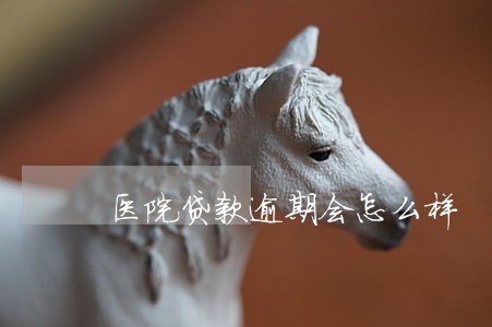 医院贷款逾期会怎么样 医院贷款逾期会怎么样