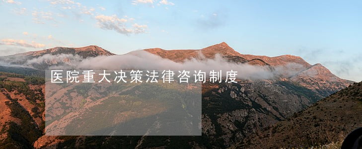 医院重大决策法律咨询制度