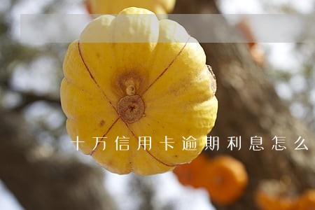 十万信用卡逾期利息怎么算 十万信用卡逾期利息怎么算