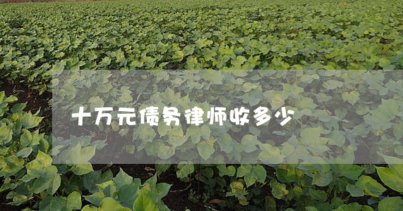 十万元债务律师收多少 十万元债务律师收多少