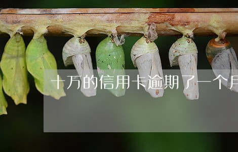 十万的信用卡逾期了一个月 十万的信用卡逾期了一个月