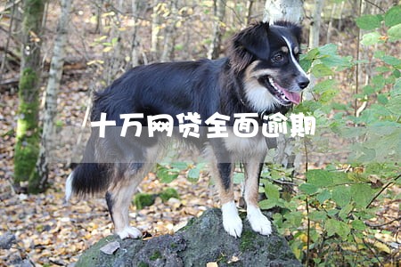 十万网贷全面逾期 十万网贷全面逾期
