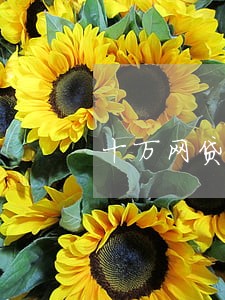 十万网贷逾期一年还多少
