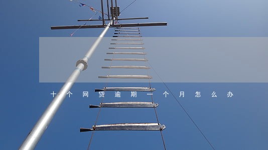 十个网贷逾期一个月怎么办 十个网贷逾期一个月怎么办