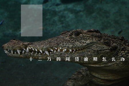 十二万的网贷逾期怎么办 十二万的网贷逾期怎么办