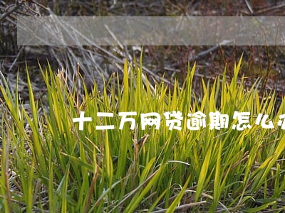 十二万网贷逾期怎么办 十二万网贷逾期怎么办