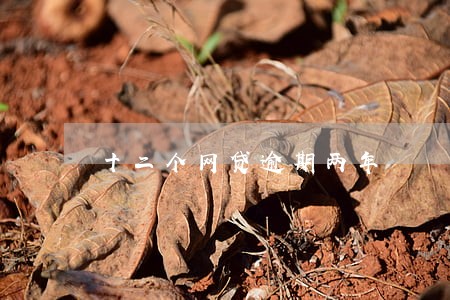 十二个网贷逾期两年 十二个网贷逾期两年