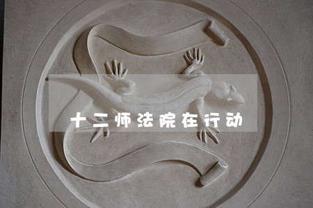 十二师法院在行动 十二师法院在行动