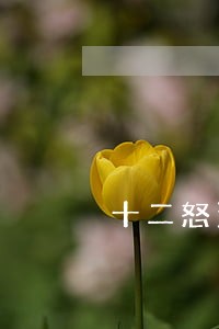 十二怒汉是什么诉讼