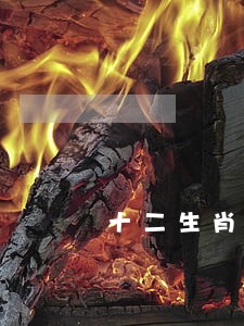 十二生肖谁是裁判