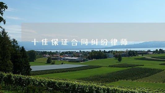 十佳保证合同纠纷律师 十佳保证合同纠纷律师