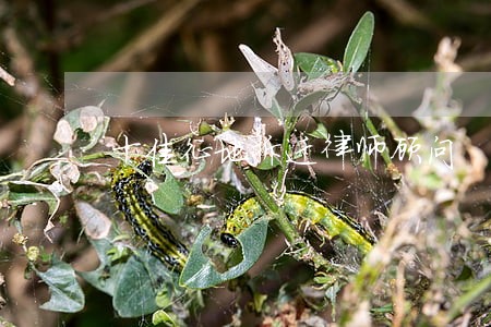 十佳征地拆迁律师顾问 十佳征地拆迁律师顾问