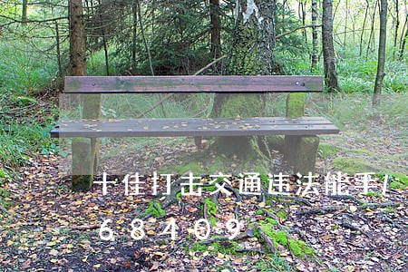 十佳打击交通违法能手/2023020368409 十佳打击交通违法能手/2023020368409