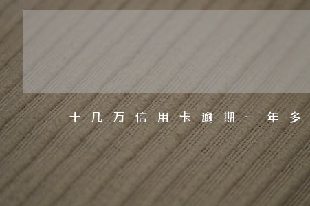 十几万信用卡逾期一年多 十几万信用卡逾期一年多